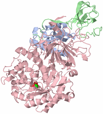 Image Asymmetric Unit