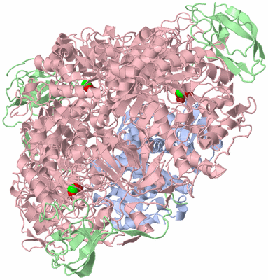 Image Biological Unit 1