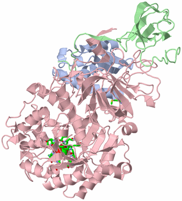 Image Asym. Unit - sites