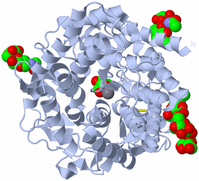 Image Biological Unit 1