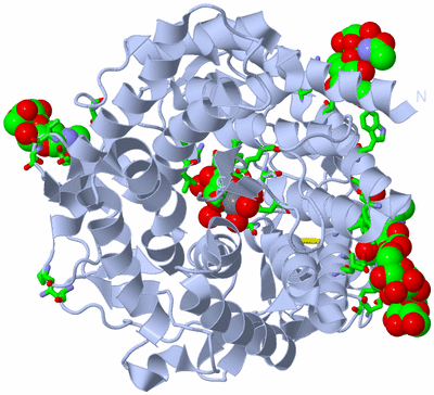 Image Biol. Unit 1 - sites