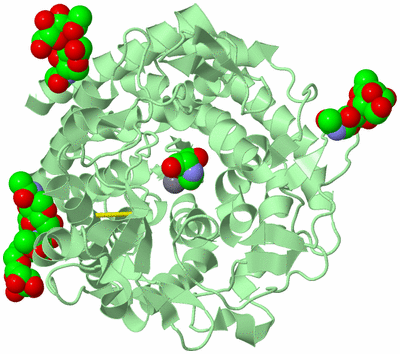 Image Biological Unit 2