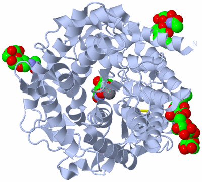 Image Biological Unit 1