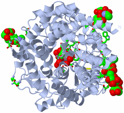 Image Biol. Unit 1 - sites