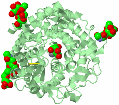 Image Biological Unit 2