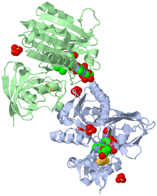 Image Asymmetric Unit