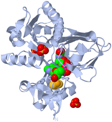 Image Biological Unit 1
