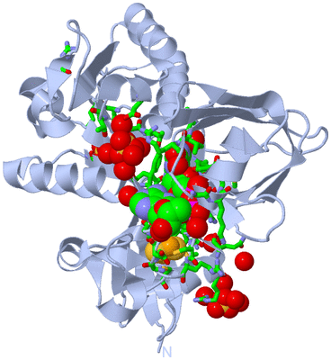Image Biol. Unit 1 - sites