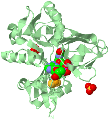 Image Biological Unit 2