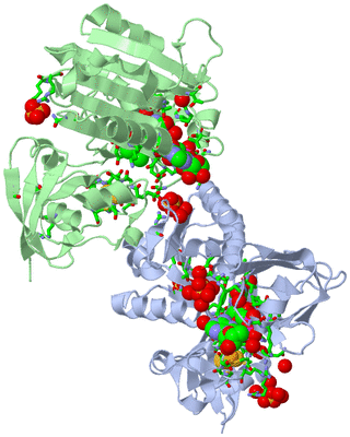 Image Asym. Unit - sites