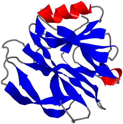 Image NMR Structure - model 1