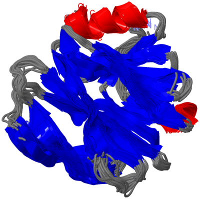 Image NMR Structure - all models