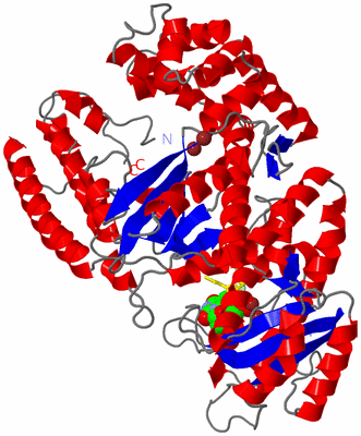 Image Asym./Biol. Unit