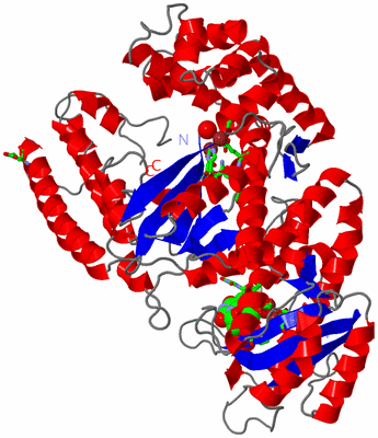 Image Asym./Biol. Unit - sites