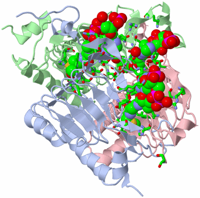 Image Asym./Biol. Unit - sites