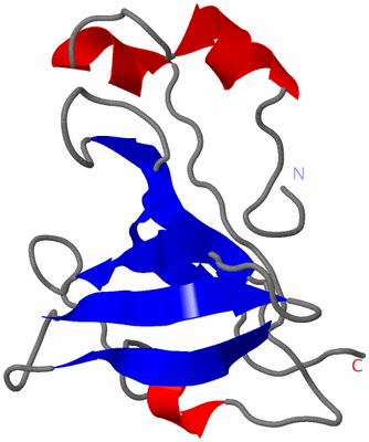 Image NMR Structure - model 1