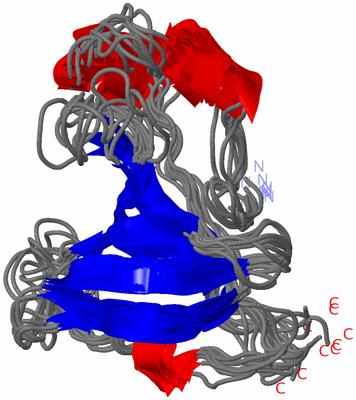 Image NMR Structure - all models