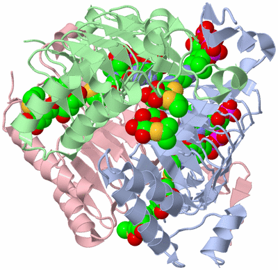 Image Asym./Biol. Unit