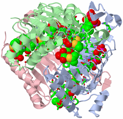 Image Asym./Biol. Unit - sites