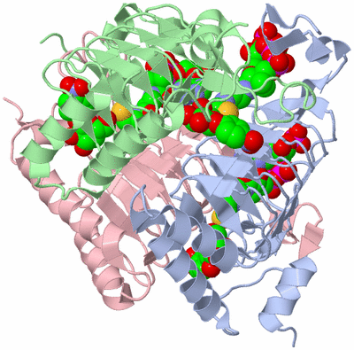 Image Asym./Biol. Unit