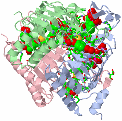 Image Asym./Biol. Unit - sites