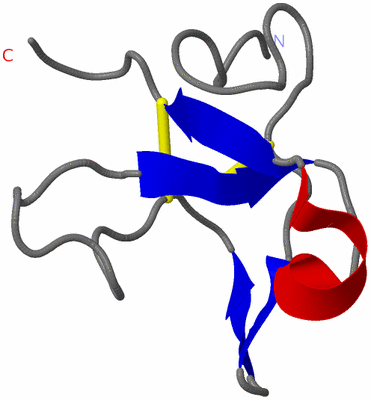 Image NMR Structure - model 1