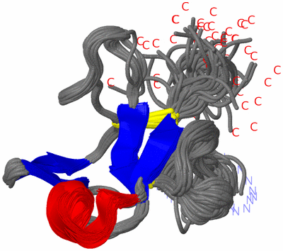 Image NMR Structure - all models