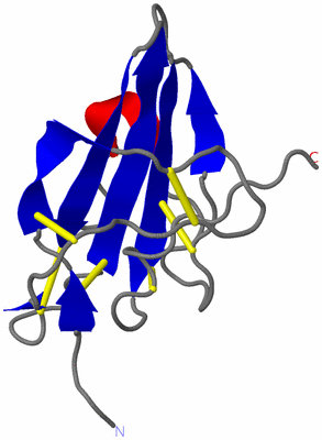 Image NMR Structure - model 1