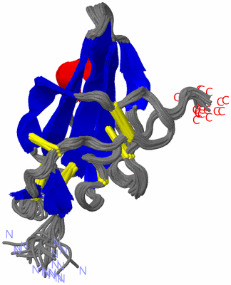 Image NMR Structure - all models