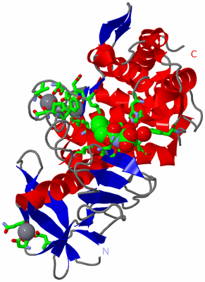 Image Asym./Biol. Unit - sites