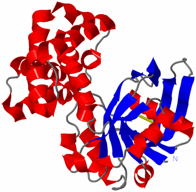 Image Asym./Biol. Unit