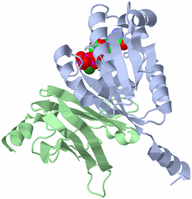 Image Asym./Biol. Unit