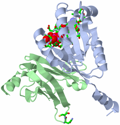 Image Asym./Biol. Unit - sites