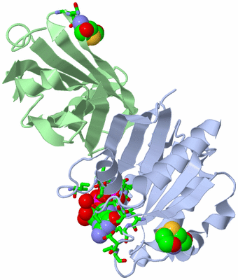 Image Asym./Biol. Unit - sites