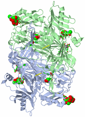 Image Asym./Biol. Unit - sites