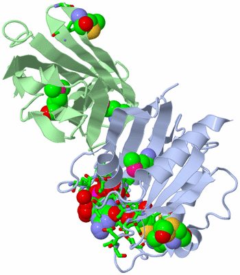 Image Asym./Biol. Unit - sites