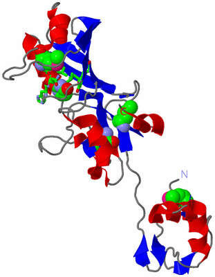 Image Asym./Biol. Unit - sites