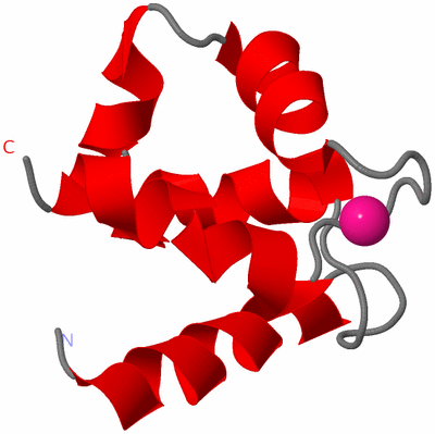 Image NMR Structure - model 1