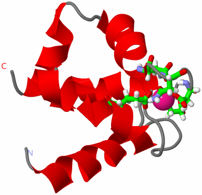 Image NMR Structure - model 1, sites