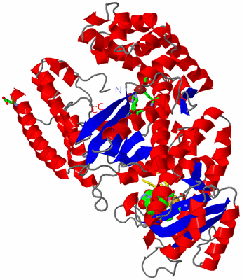 Image Asym./Biol. Unit - sites