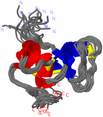 Image NMR Structure - all models