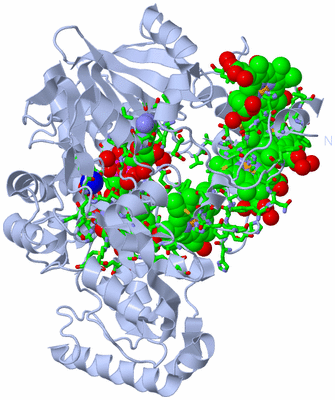 Image Biol. Unit 1 - sites