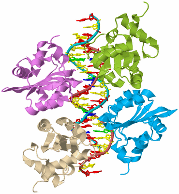 Image Biological Unit 2