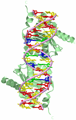 Image Biological Unit 2