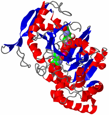 Image Asymmetric Unit