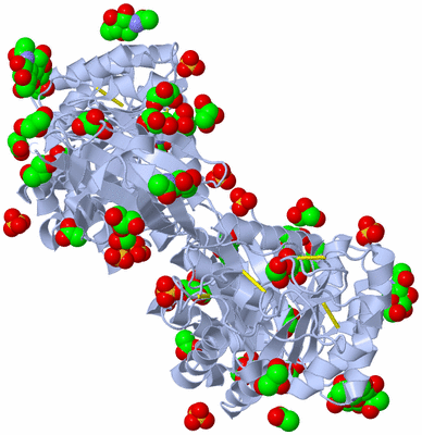 Image Biological Unit 1