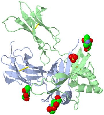 Image Biological Unit 1