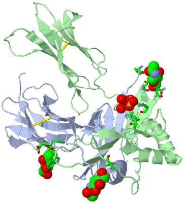 Image Biol. Unit 1 - sites