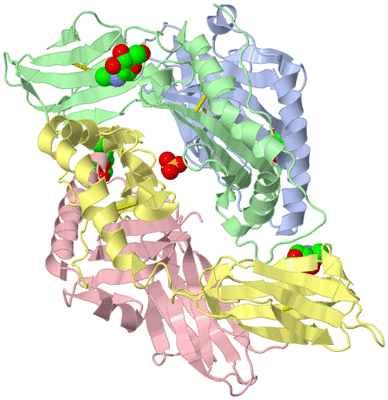 Image Biological Unit 3