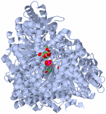 Image Biological Unit 3